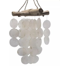 2025-54 - arillon coquillage nacre